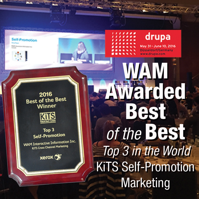 Best_of_Best-WAM-KiTS-650pxweb